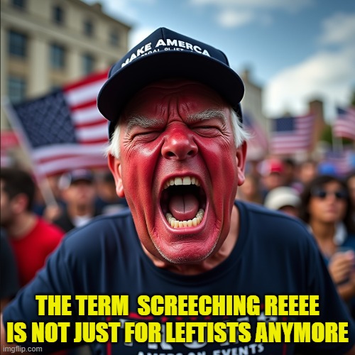 The mind virus is spreading to those on the right | THE TERM  SCREECHING REEEE IS NOT JUST FOR LEFTISTS ANYMORE | image tagged in troll,maga,make america great again,reeeee,kamala harris,trump | made w/ Imgflip meme maker