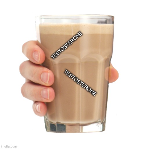 Choccy Milk | TESTOSTERONE TESTOSTERONE | image tagged in choccy milk | made w/ Imgflip meme maker