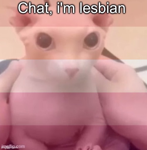 I like girls so therefore i'm lesbian | Chat, i'm lesbian | image tagged in this is a joke dum dum | made w/ Imgflip meme maker