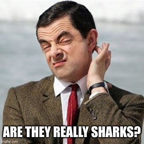 Not Sure | ARE THEY REALLY SHARKS? | image tagged in not sure | made w/ Imgflip meme maker