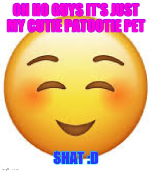 OH HO GUYS IT'S JUST MY CUTIE PATOOTIE PET SHAT :D | made w/ Imgflip meme maker