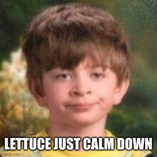 Annoyed face | LETTUCE JUST CALM DOWN | image tagged in annoyed face | made w/ Imgflip meme maker