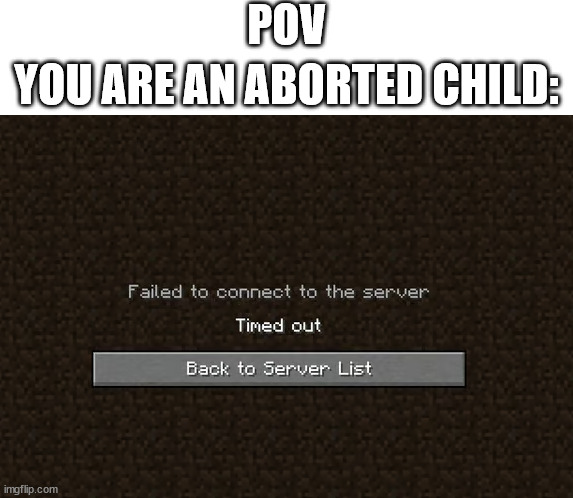 something is wrong with my humor | POV; YOU ARE AN ABORTED CHILD: | image tagged in minecraft,minecraft memes | made w/ Imgflip meme maker