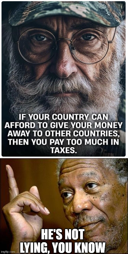 Common Sense | HE'S NOT LYING, YOU KNOW | image tagged in this morgan freeman,politics,memes | made w/ Imgflip meme maker