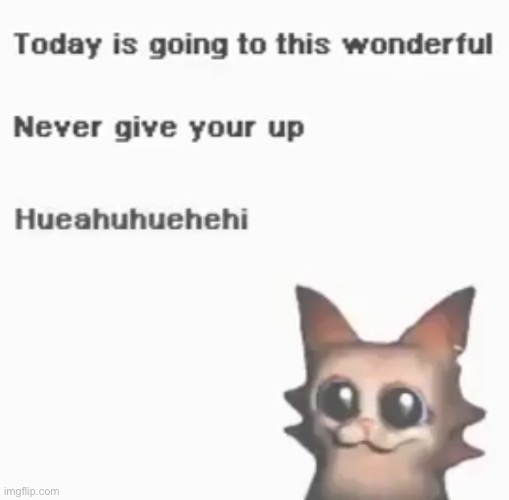 NEVER BACK DOWN NEVER WHAT | made w/ Imgflip meme maker