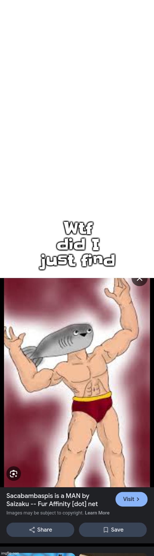 Uh | Wtf did I just find | made w/ Imgflip meme maker