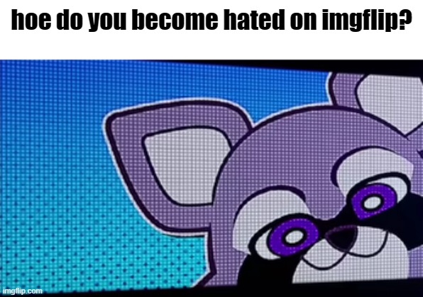 >:) | hoe do you become hated on imgflip? | image tagged in rambley raccoon | made w/ Imgflip meme maker