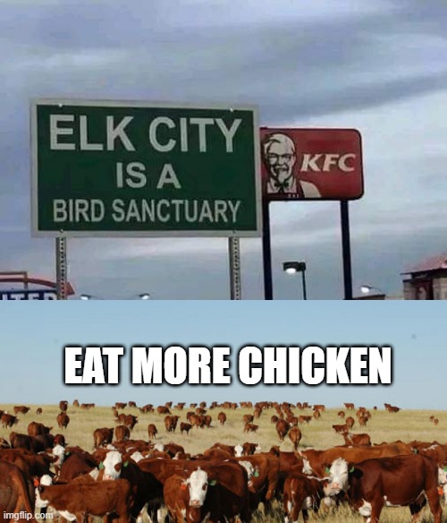 Bird Sanctury Huh | EAT MORE CHICKEN | image tagged in you had one job | made w/ Imgflip meme maker