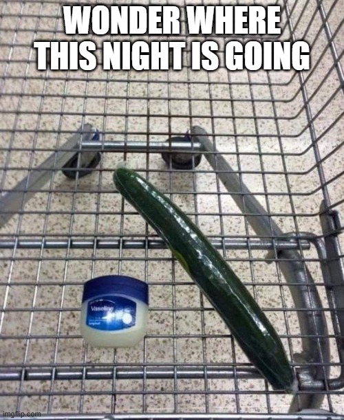 Shopping Cart | WONDER WHERE THIS NIGHT IS GOING | image tagged in sex jokes | made w/ Imgflip meme maker