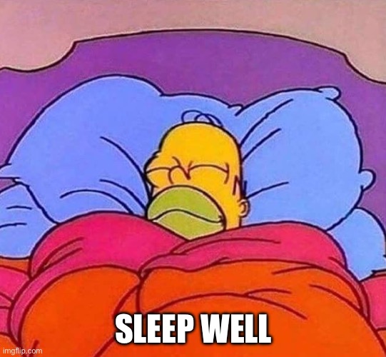 Homer Simpson sleeping peacefully | SLEEP WELL | image tagged in homer simpson sleeping peacefully | made w/ Imgflip meme maker