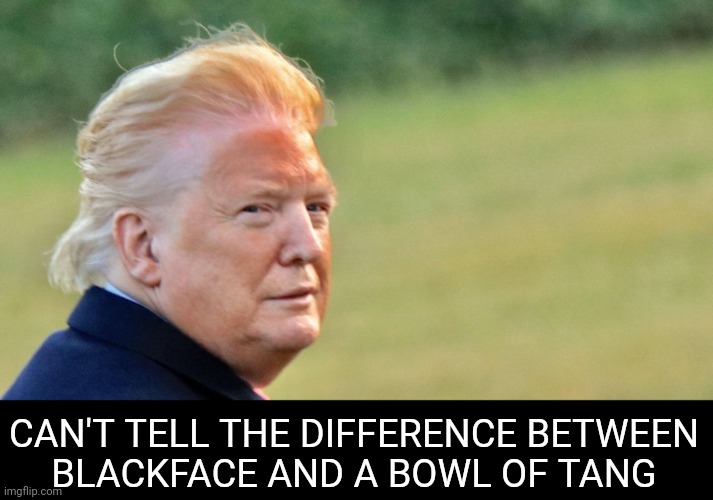 Trump orange face | CAN'T TELL THE DIFFERENCE BETWEEN
BLACKFACE AND A BOWL OF TANG | image tagged in trump orange face | made w/ Imgflip meme maker