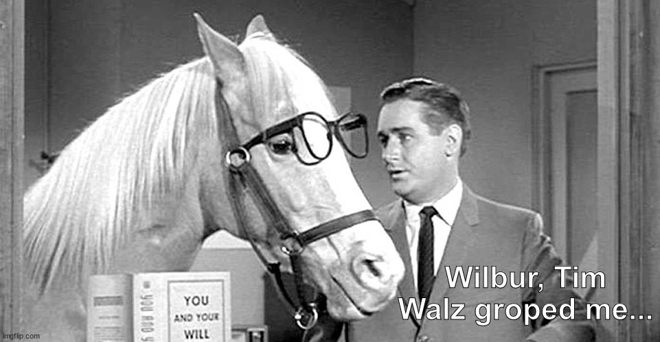 Say it isn't so Mr. Ed... | Wilbur, Tim Walz groped me... | image tagged in tim walz,touchdown timmy,loves horse milk | made w/ Imgflip meme maker