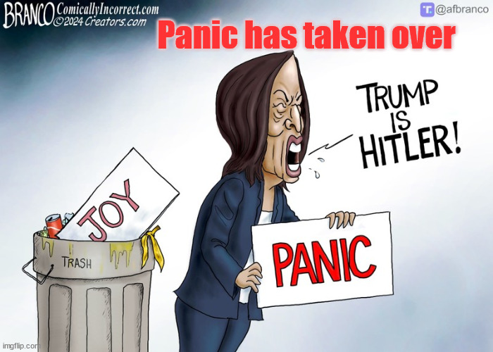 Panic has taken over | made w/ Imgflip meme maker