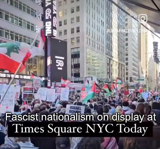 Nationalists | Fascist nationalism on display at | image tagged in politics lol,memes | made w/ Imgflip meme maker