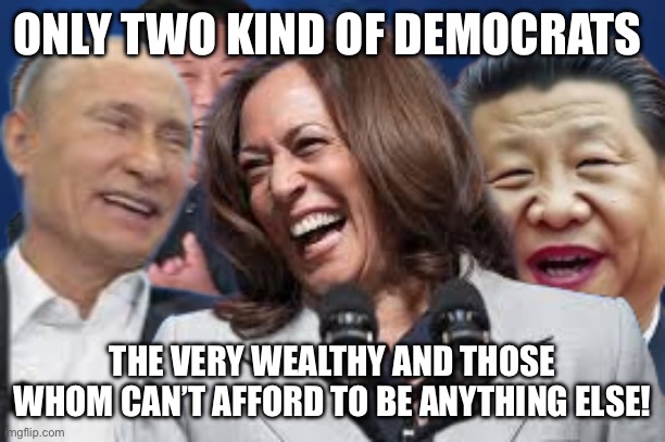 Republican by default | ONLY TWO KIND OF DEMOCRATS; THE VERY WEALTHY AND THOSE
WHOM CAN’T AFFORD TO BE ANYTHING ELSE! | image tagged in in charge,funny,gifs,memes,democrats | made w/ Imgflip meme maker