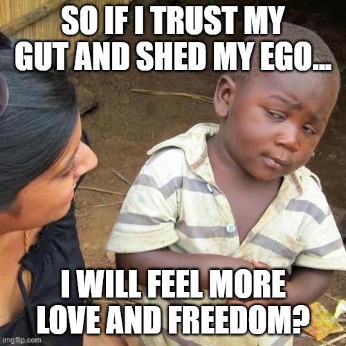 Shed your ego | SO IF I TRUST MY GUT AND SHED MY EGO... I WILL FEEL MORE LOVE AND FREEDOM? | image tagged in memes,third world skeptical kid | made w/ Imgflip meme maker