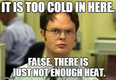 Dwight Schrute | IT IS TOO COLD IN HERE. FALSE. THERE IS JUST NOT ENOUGH HEAT. | image tagged in memes,dwight schrute | made w/ Imgflip meme maker