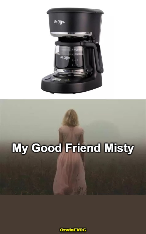 Drinking in the Morning, Shindiggery in the Evening | My Good Friend Misty; OzwinEVCG | image tagged in drinks,coffee,tea,friends,dramatic pictures,dramatic appliances | made w/ Imgflip meme maker