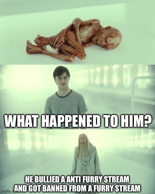 Dead Baby Voldemort / What Happened To Him | WHAT HAPPENED TO HIM? HE BULLIED A ANTI FURRY STREAM AND GOT BANNED FROM A FURRY STREAM | image tagged in dead baby voldemort / what happened to him | made w/ Imgflip meme maker