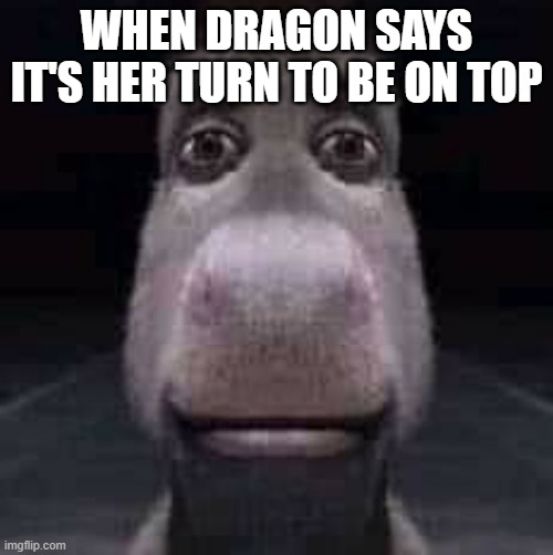 Donkey staring | WHEN DRAGON SAYS IT'S HER TURN TO BE ON TOP | image tagged in donkey staring | made w/ Imgflip meme maker