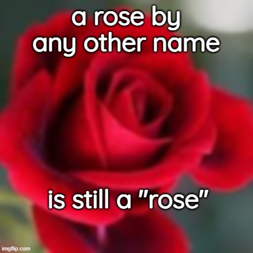 A Rose is Still a Rose | a rose by any other name; is still a "rose" | image tagged in roses are red | made w/ Imgflip meme maker