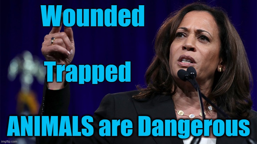 Kamala is LOSING! BE AFRAID AMERICA! | Wounded; Trapped; ANIMALS are Dangerous | image tagged in wounded,trapped,animals,dangerous | made w/ Imgflip meme maker