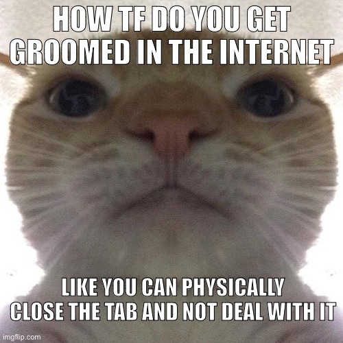 Pretty sure the only reason is for “Clout” | HOW TF DO YOU GET GROOMED IN THE INTERNET; LIKE YOU CAN PHYSICALLY CLOSE THE TAB AND NOT DEAL WITH IT | image tagged in staring cat/gusic | made w/ Imgflip meme maker