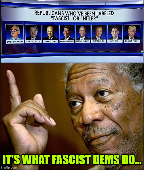 IT'S WHAT FASCIST DEMS DO... | image tagged in this morgan freeman | made w/ Imgflip meme maker