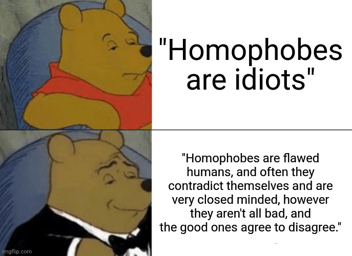 Remember that everyone is human. If you don't agree, you don't agree. That's what makes me so friendly with so many people. | "Homophobes are idiots"; "Homophobes are flawed humans, and often they contradict themselves and are very closed minded, however they aren't all bad, and the good ones agree to disagree." | image tagged in tuxedo winnie the pooh,im talking abour a best friend of mine,hes sweet and we can kick it | made w/ Imgflip meme maker