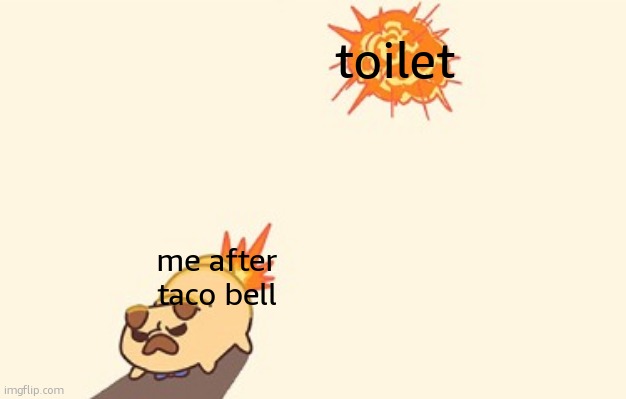 Dog fart | toilet; me after taco bell | image tagged in dog fart | made w/ Imgflip meme maker