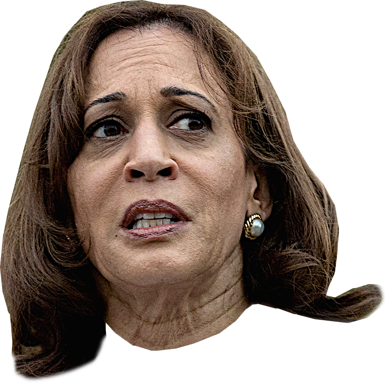 KAMALA - STRESSED Blank Meme Template