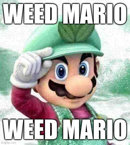 WEED MARIO; WEED MARIO | made w/ Imgflip meme maker