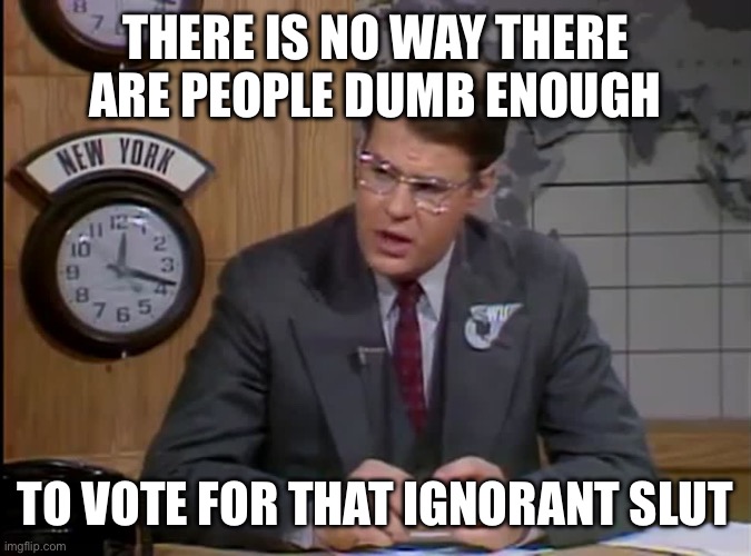 Dan Aykroyd SNL | THERE IS NO WAY THERE ARE PEOPLE DUMB ENOUGH TO VOTE FOR THAT IGNORANT SLUT | image tagged in dan aykroyd snl | made w/ Imgflip meme maker