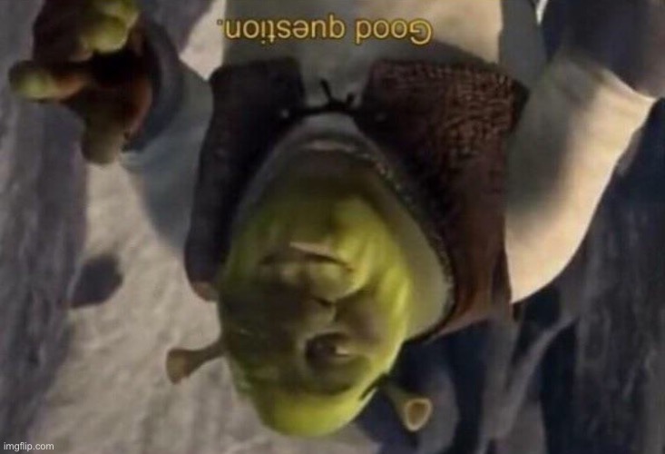 Shrek good question | image tagged in shrek good question | made w/ Imgflip meme maker