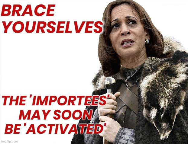 BRACE YOURSELVES...? | BRACE
YOURSELVES; THE 'IMPORTEES'
MAY SOON
BE 'ACTIVATED' | image tagged in kamala harris,biden,coup,liar,disloyal,terrorists | made w/ Imgflip meme maker