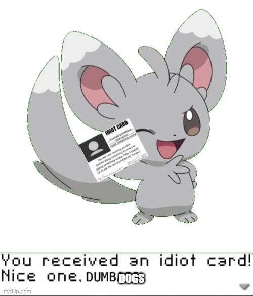 You’ve received an idiot card! Nice one dumbass | DOGS | image tagged in you ve received an idiot card nice one dumbass | made w/ Imgflip meme maker