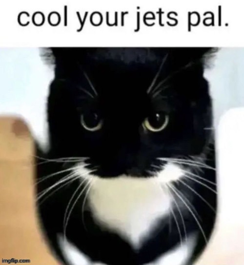 cool your jets pal. | image tagged in cool your jets pal | made w/ Imgflip meme maker