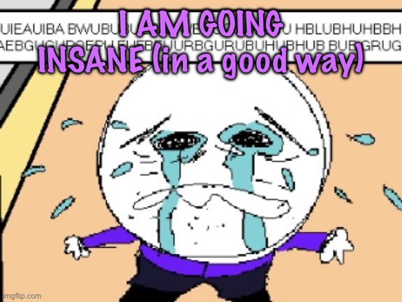 Protagonist crying | I AM GOING INSANE (in a good way) | image tagged in protagonist crying | made w/ Imgflip meme maker