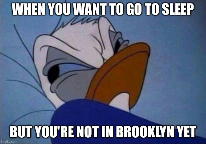 Too Beastie: No sleep til Brooklyn | WHEN YOU WANT TO GO TO SLEEP; BUT YOU'RE NOT IN BROOKLYN YET | image tagged in angry donald duck,beastie boys,brooklyn,sleep | made w/ Imgflip meme maker