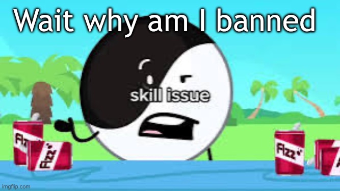 Skill issue | Wait why am I banned | image tagged in skill issue | made w/ Imgflip meme maker