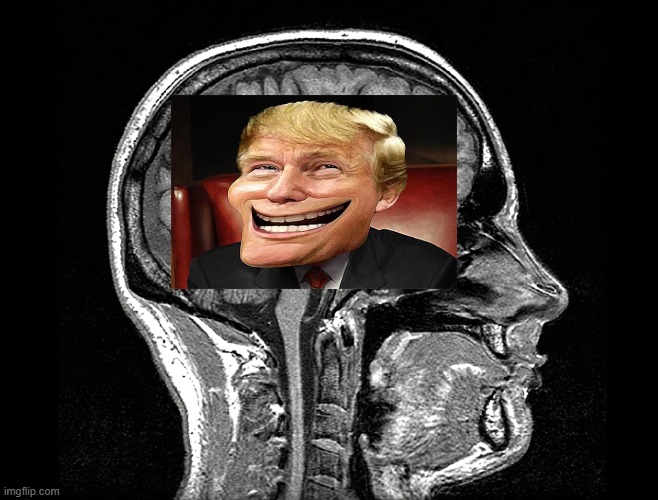 Brainscan | image tagged in brainscan | made w/ Imgflip meme maker