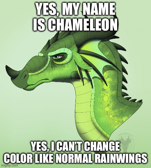 Chameleon WOF | YES, MY NAME IS CHAMELEON; YES, I CAN’T CHANGE COLOR LIKE NORMAL RAINWINGS | image tagged in chameleon wof | made w/ Imgflip meme maker