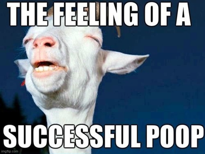 The Perfect Expression Captured | image tagged in vince vance,memes,poop,pooping,goats,going | made w/ Imgflip meme maker