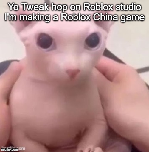 bingus | Yo Tweak hop on Roblox studio I'm making a Roblox China game | image tagged in bingus | made w/ Imgflip meme maker