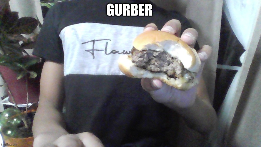 gurber | GURBER | image tagged in gurber | made w/ Imgflip meme maker