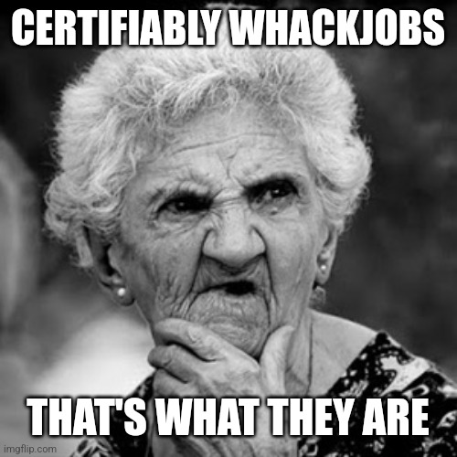 Confused lady | CERTIFIABLY WHACKJOBS THAT'S WHAT THEY ARE | image tagged in confused lady | made w/ Imgflip meme maker