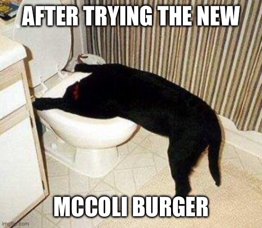 McNot Lovin’ It | AFTER TRYING THE NEW; MCCOLI BURGER | image tagged in sick puppy,mcdonalds,ecoli,mccoli | made w/ Imgflip meme maker