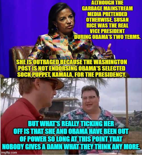 Even the DNC probably doesn't really care what either of them think at this point. | BUT WHAT'S REALLY TICKING HER OFF IS THAT SHE AND OBAMA HAVE BEEN OUT OF POWER SO LONG AT THIS POINT THAT NOBODY GIVES A DAMN WHAT THEY THINK ANY MORE. | image tagged in yep | made w/ Imgflip meme maker