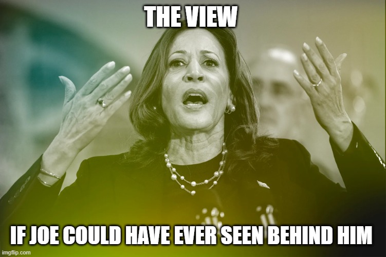 THE VIEW; IF JOE COULD HAVE EVER SEEN BEHIND HIM | made w/ Imgflip meme maker