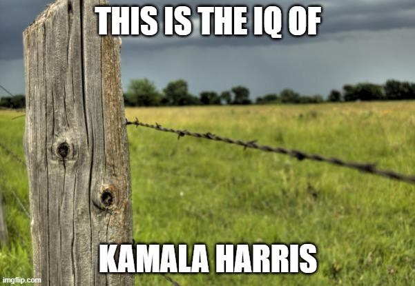 fence post | THIS IS THE IQ OF; KAMALA HARRIS | image tagged in fence post,democrats,california,kamala harris,iq | made w/ Imgflip meme maker